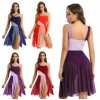 Women Lyrical Ballet Dance Leotard Dresses Modern Contemporary Dancewear Costume